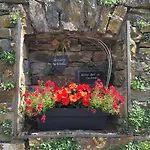 Weinburg -das Daire
