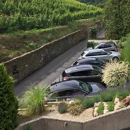 Weinburg -das Cochem