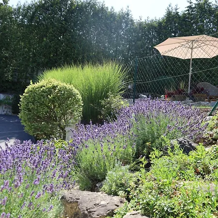 Appartement Weinburg -das