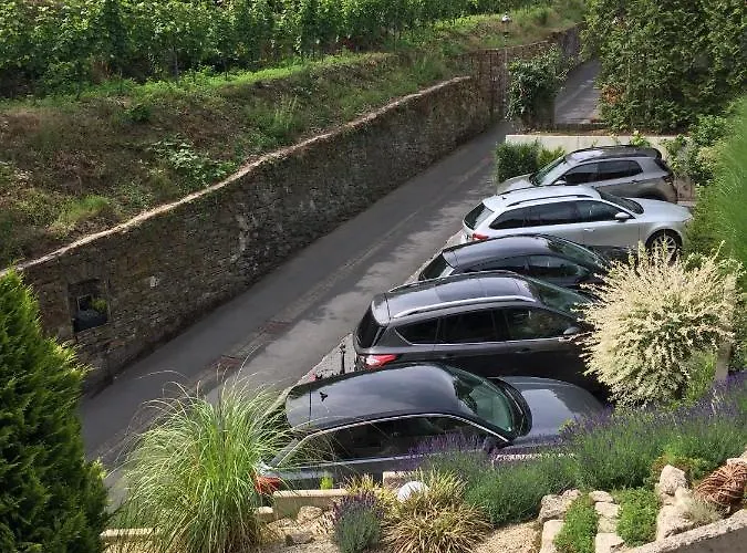 Weinburg -das Кохем