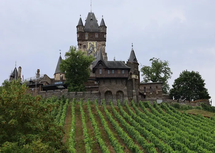 Weinburg -das * コッヘム