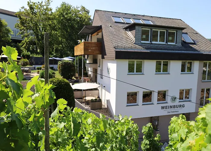 Weinburg -das Cochem